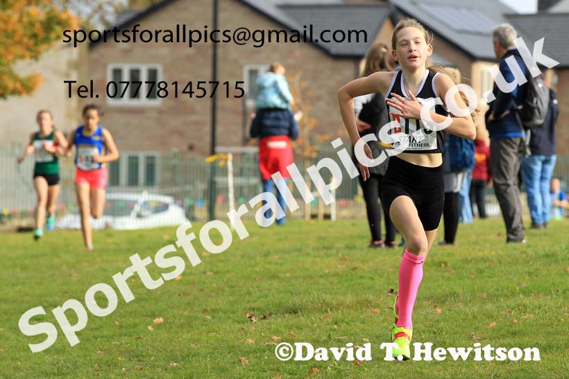 Girls under-13s 2022 Northern Cross Country Relays, Graves Park, Sheffield. Photo: David T. Hewitson/Sports for All Pics